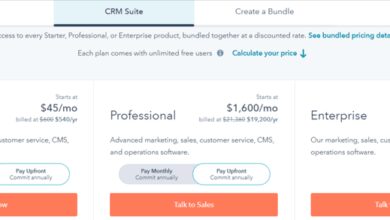 HubSpot CRM Pricing