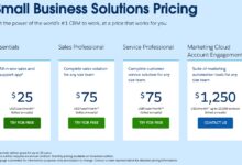 Salesforce CRM Cost