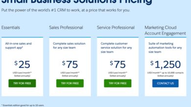 Salesforce CRM Cost